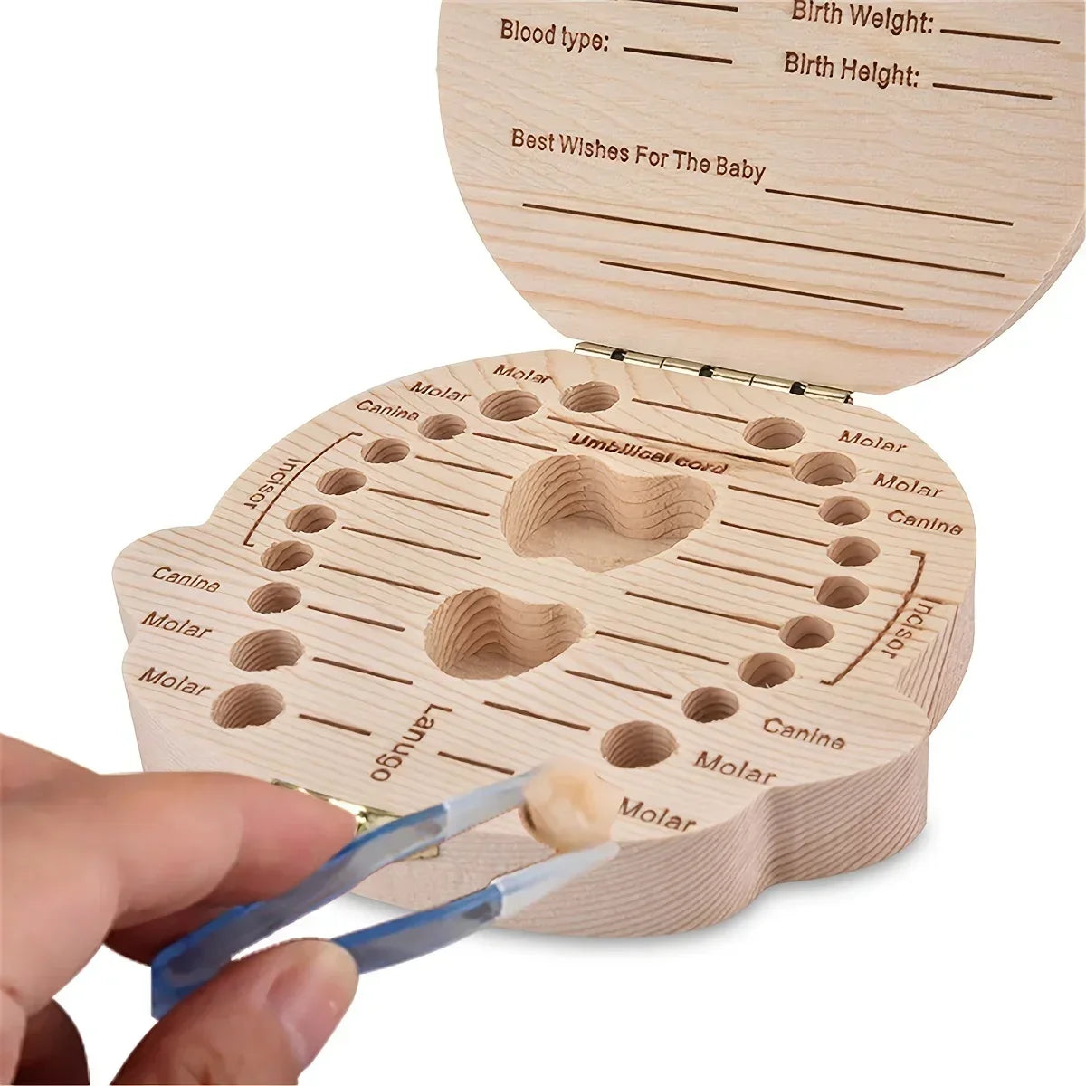 Caja almacenadora para dientes de leche