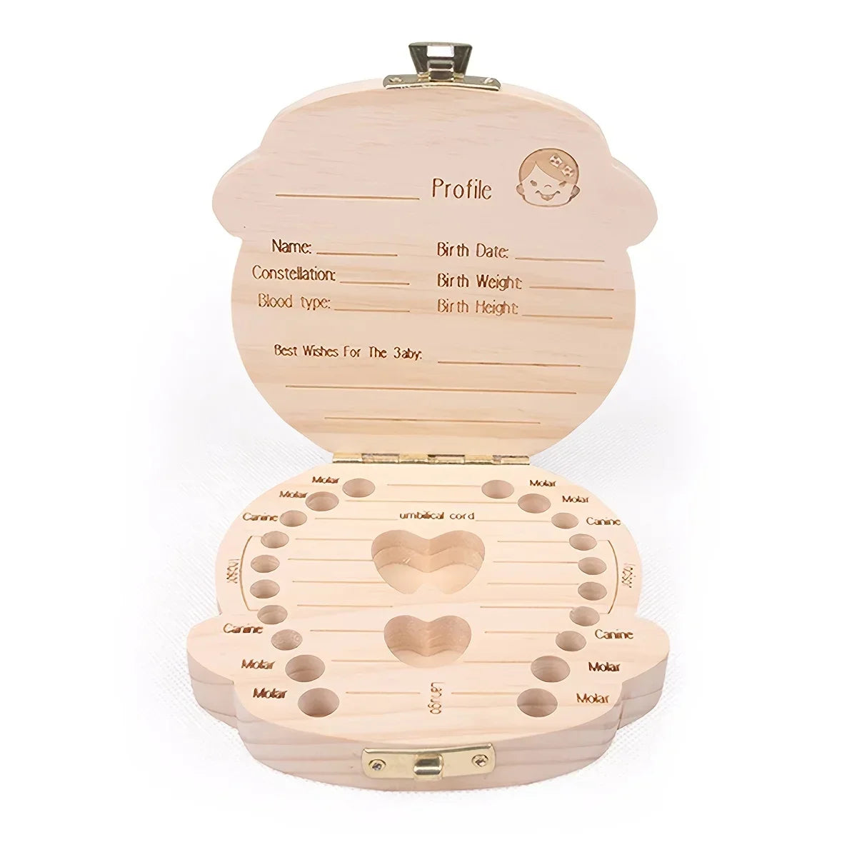 Caja almacenadora para dientes de leche